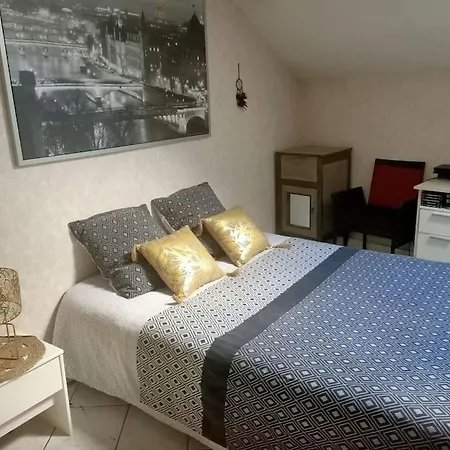 Confortable En Centre-ville + Parking Prive + Cour Appartement Angers