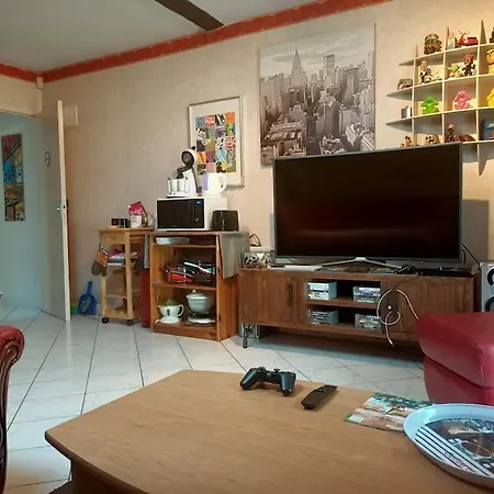 Confortable En Centre-ville + Parking Prive + Cour *