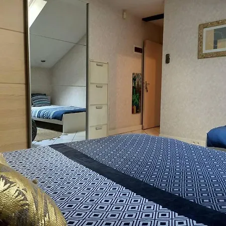 Confortable En Centre-ville + Parking Prive + Cour Appartement